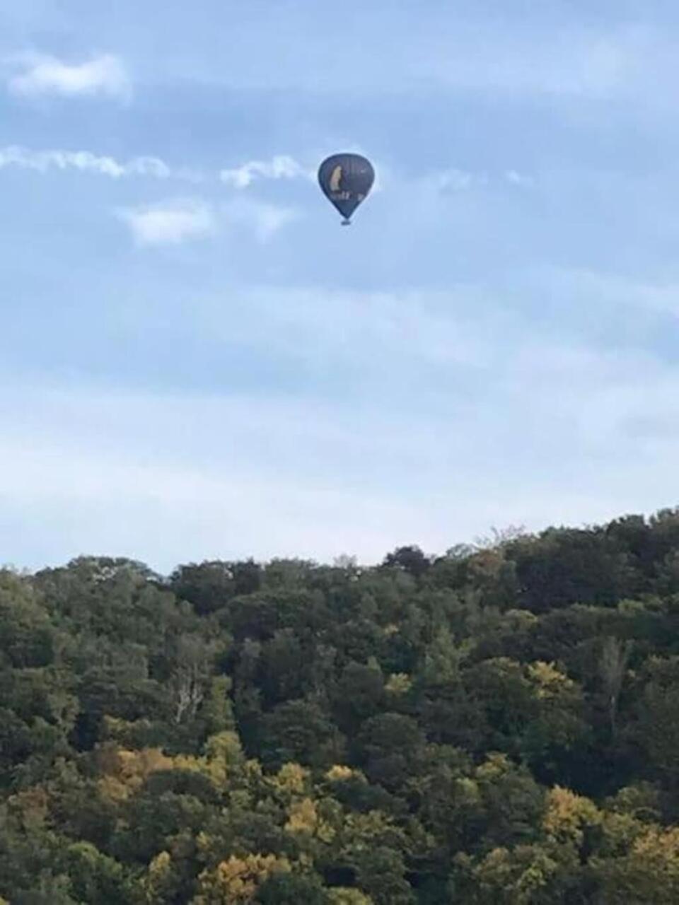 Le Sentier Des Lavandes Vresse-sur-Semois Zewnętrze zdjęcie
