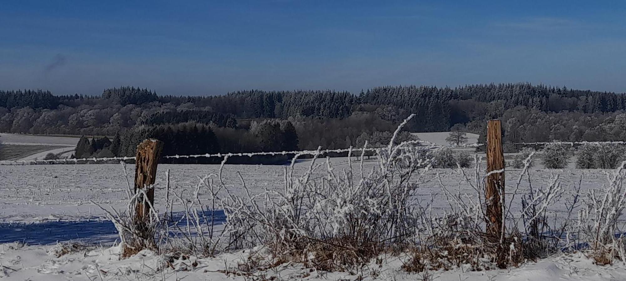 Le Sentier Des Lavandes Vresse-sur-Semois Zewnętrze zdjęcie