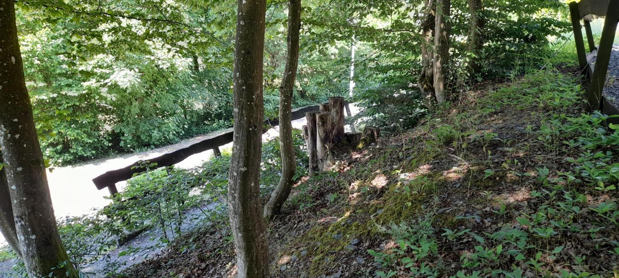 Le Sentier Des Lavandes Vresse-sur-Semois Zewnętrze zdjęcie