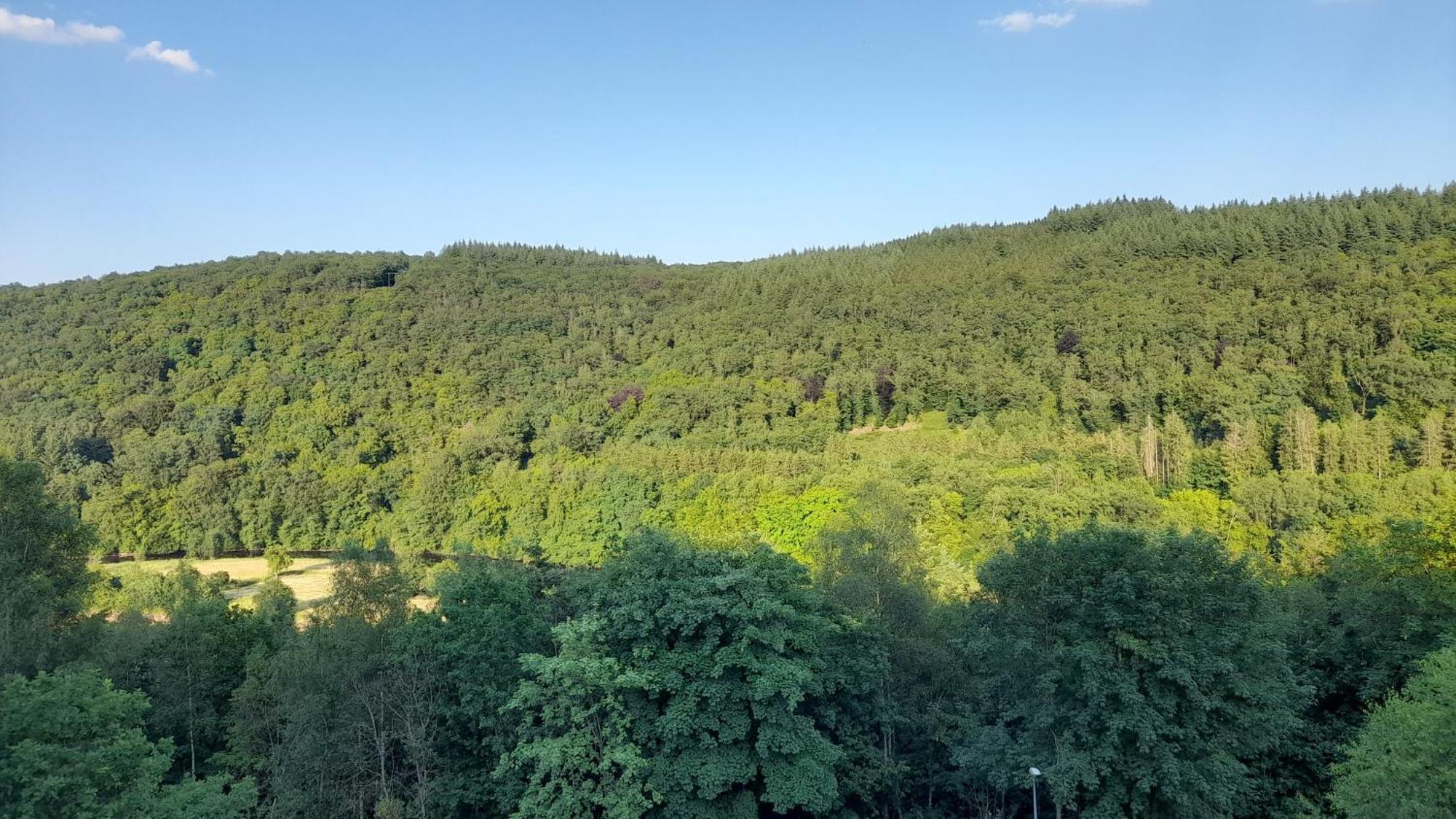 Le Sentier Des Lavandes Vresse-sur-Semois Zewnętrze zdjęcie