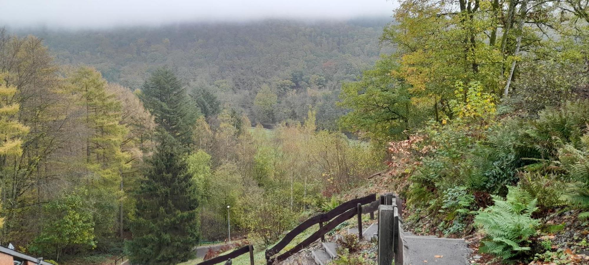 Le Sentier Des Lavandes Vresse-sur-Semois Zewnętrze zdjęcie